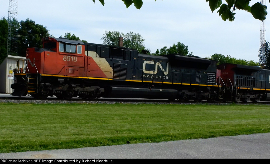 CN 8818